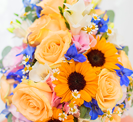 Same day Flowers Shooter's Hill